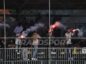 ΜΙΚΤΕΣ ΚΕΡΚΙΔΑ7