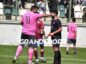 Κρατάει τον κορμό και την σταθερότητα του το Άλογο
