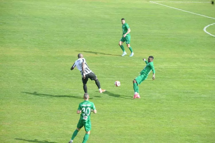 ΟΦΙ ΛΕΒΑΔΕΙΑΚΟΣ (12)