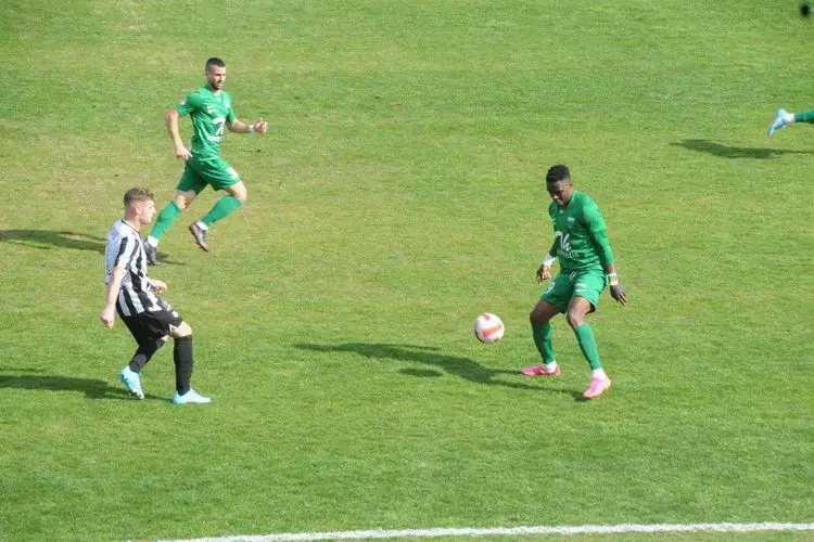 ΟΦΙ ΛΕΒΑΔΕΙΑΚΟΣ (8)