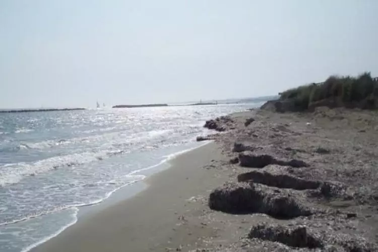 thalassa