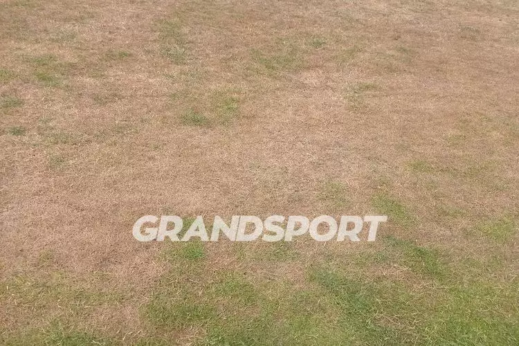 &Gamma;&Eta;&Pi;&Epsilon;&Delta;&Omicron; &Pi;&Alpha;&Nu;&Omicron;&Mu; (2)