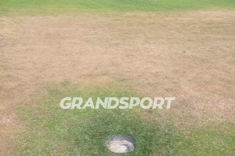 &Gamma;&Eta;&Pi;&Epsilon;&Delta;&Omicron; &Pi;&Alpha;&Nu;&Omicron;&Mu; (3)