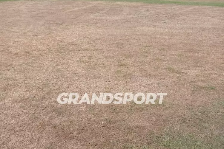 &Gamma;&Eta;&Pi;&Epsilon;&Delta;&Omicron; &Pi;&Alpha;&Nu;&Omicron;&Mu; (4)