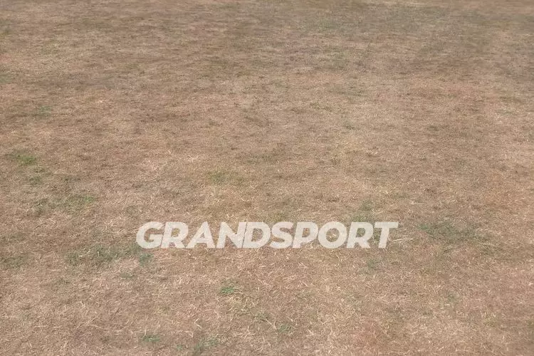 &Gamma;&Eta;&Pi;&Epsilon;&Delta;&Omicron; &Pi;&Alpha;&Nu;&Omicron;&Mu; (5)