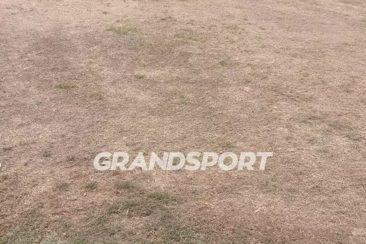 &Gamma;&Eta;&Pi;&Epsilon;&Delta;&Omicron; &Pi;&Alpha;&Nu;&Omicron;&Mu; (6)