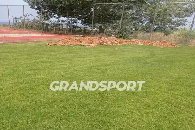 &Gamma;&Eta;&Pi;&Epsilon;&Delta;&Omicron; &Pi;&Alpha;&Nu;&Omicron;&Mu; (8)