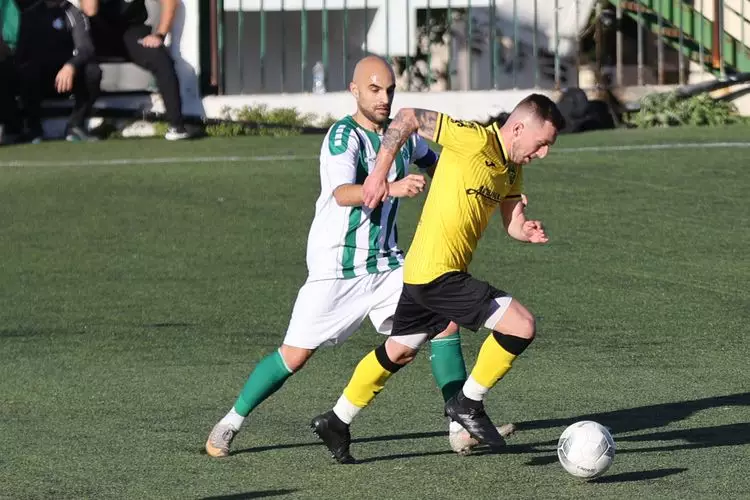 &Pi;&Omicron;&Alpha; &Alpha;&Nu;&Theta;&Epsilon;&Sigma;&Tau;&Iota;&Omega;&Nu; (2)