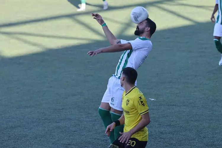 &Pi;&Omicron;&Alpha; &Alpha;&Nu;&Theta;&Epsilon;&Sigma;&Tau;&Iota;&Omega;&Nu; (3)