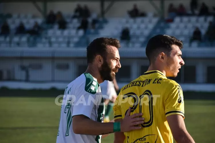 ΠΟΑ - ΑΝΘΕΣΤΙΩΝ(62)