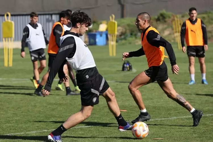 ΟΦΗ ΠΡΟΠΟΝΗΣΗ