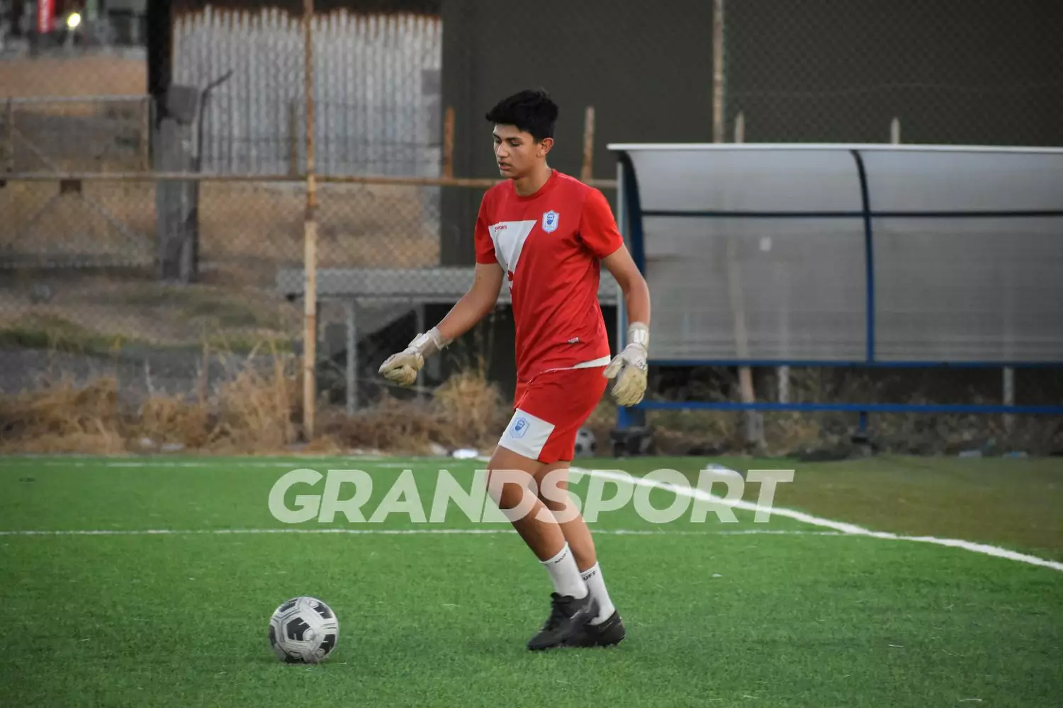 &Epsilon;&pi;&iota;&sigma;&tau;&rho;&omicron;&phi;ή &sigma;&tau;&omicron;&nu; &Eta;&rho;ό&delta;&omicron;&tau;&omicron; &gamma;&iota;&alpha; &tau;&omicron;&nu; &Nu;&iota;&kappa;ή&tau;&alpha; &Tau;&alpha;&mu;&iota;&omega;&lambda;ά&kappa;&eta;