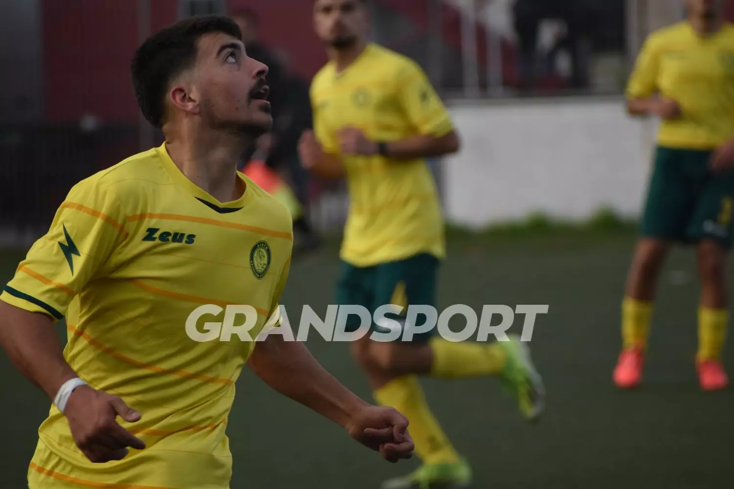 ΠΟΣΕΙΔΩΝΑΣ-ΛΙΝΤΟ(49)