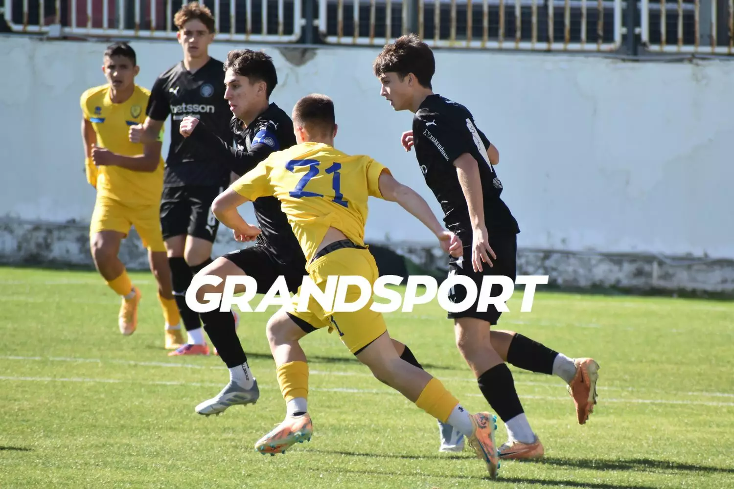 &Kappa;19 &Omicron;&Phi;&Eta;-&Pi;&alpha;&nu;&alpha;&iota;&tau;&omega;&lambda;&iota;&kappa;ό&sigmaf;: LIVE