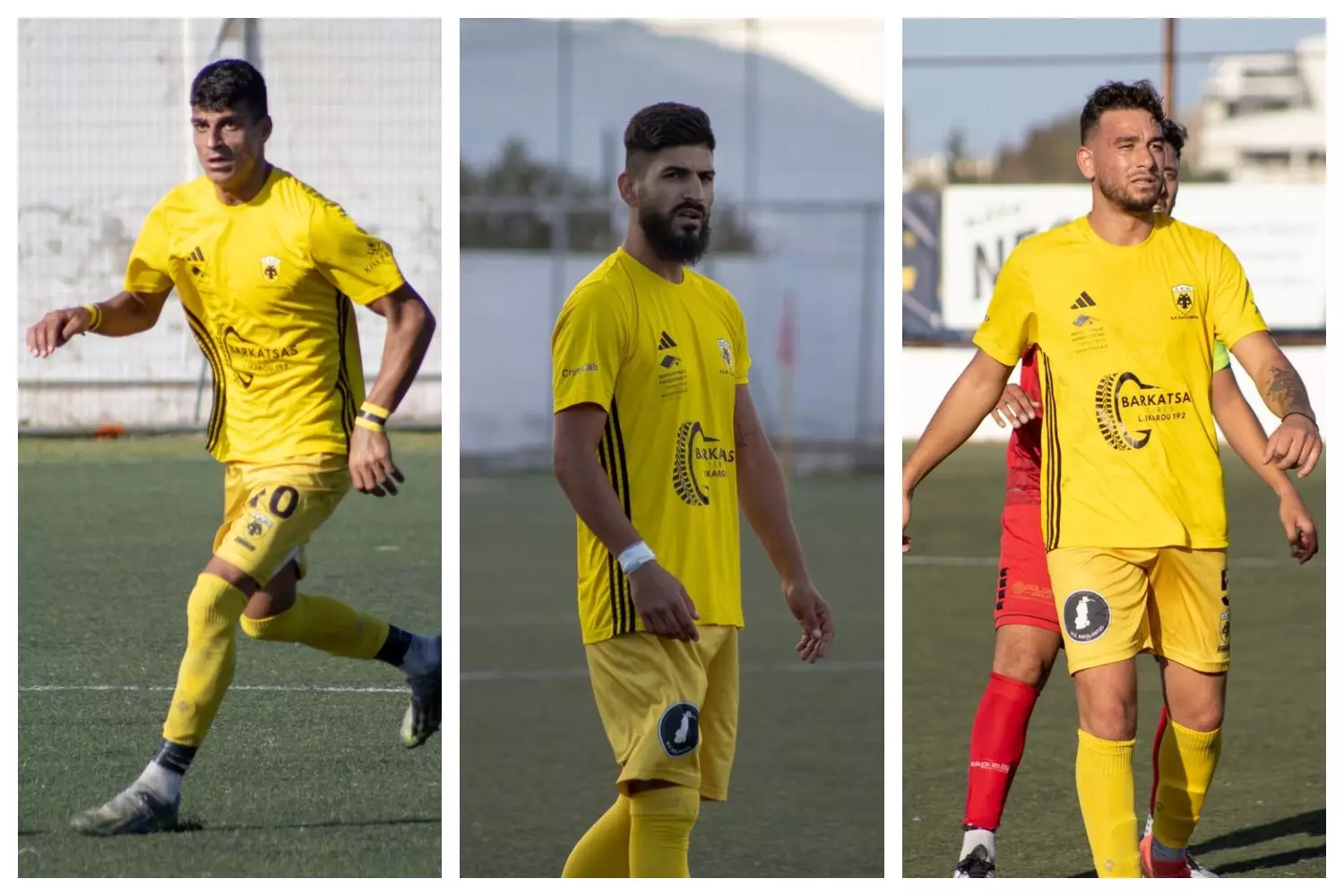 &Delta;&epsilon;&iota;&lambda;&iota;&nu;ά: &Tau;&rho;&iota;&pi;&lambda;ό &chi;&tau;ύ&pi;&eta;&mu;&alpha; &mu;&epsilon; &Eta;&rho;&alpha;&kappa;&lambda;ή &Kappa;&alpha;&lambda;&alpha;&mu;&iota;ώ&tau;&eta; &kappa;&alpha;&iota; &Pi;&rho;&omicron;&kappa;ό&pi;&eta;-&Chi;&rho;ή&sigma;&tau;&omicron; &Nu;&iota;&kappa;&omicron;&lambda;ά&omicron;&upsilon;