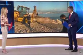 Νεκρή φάλαινα ξεβράστηκε στον Πειραιά <i class="fa fa-video-camera" aria-hidden="true"></i>