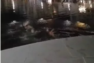 Απίθανος πανηγυρισμός για την πρόκριση του Ολυμπιακού (vid)