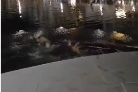 Απίθανος πανηγυρισμός για την πρόκριση του Ολυμπιακού (vid)