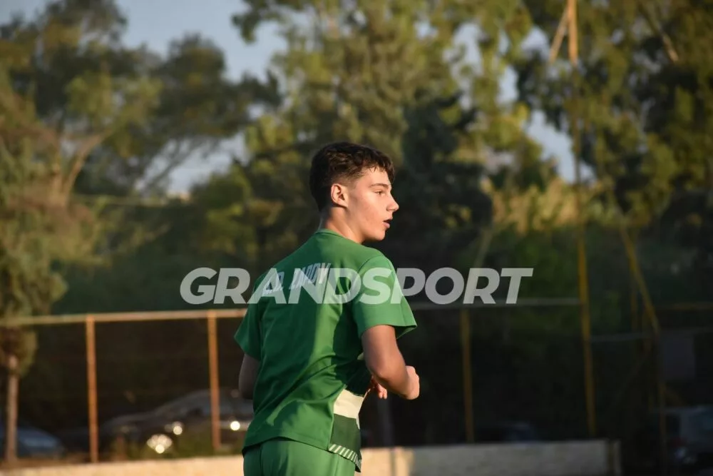 Νικηφόρο πέρασμα του Ζαρού από τον Άγιο Δημήτριο