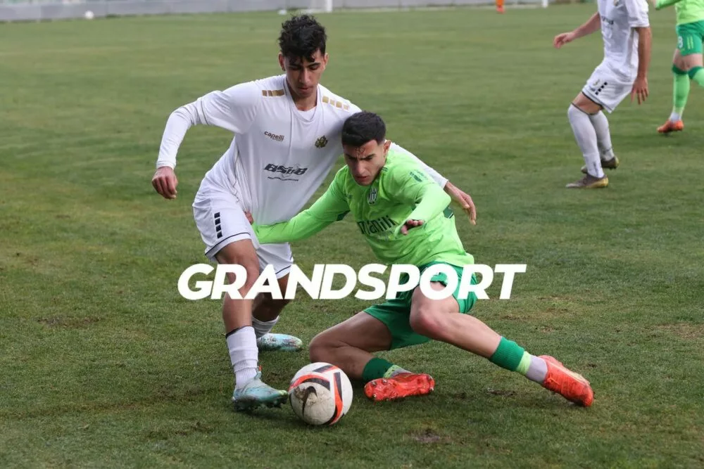 Συμφωνία Χερσονήσου με Τσελεγγίδη