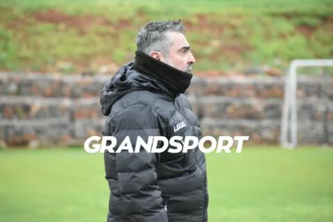Κρίνεται του Πίτσου στη Νεάπολη